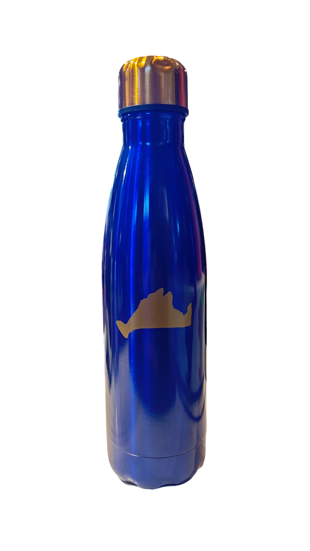 Blue & Gold Water Bottle