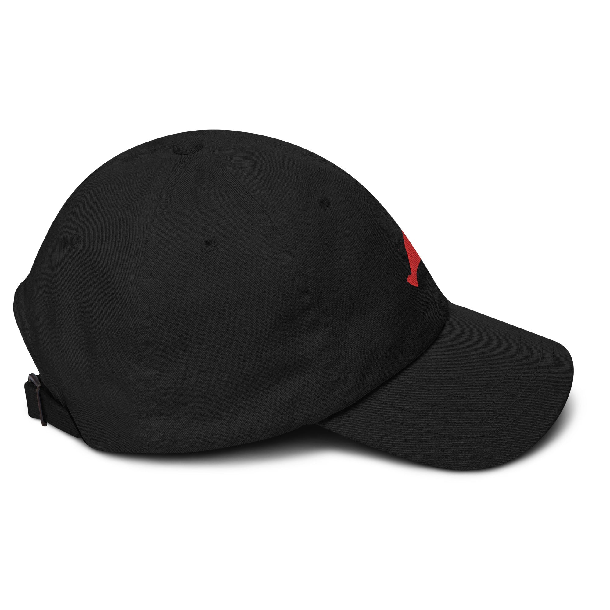 Red Embroidered Dad Hat