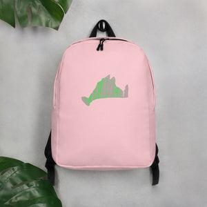 Pink and Green Backpack