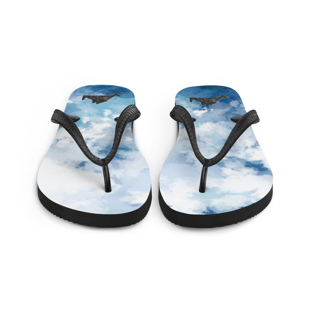 Blue WaterColor Flip-Flops